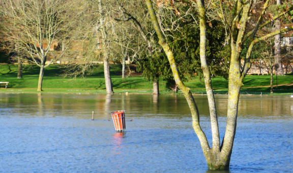 Flooding